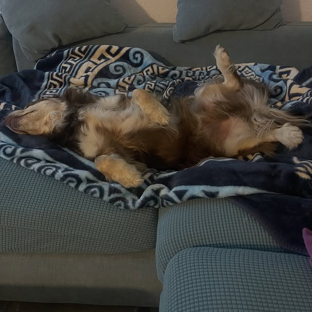  .....og2020   'recent posts' 