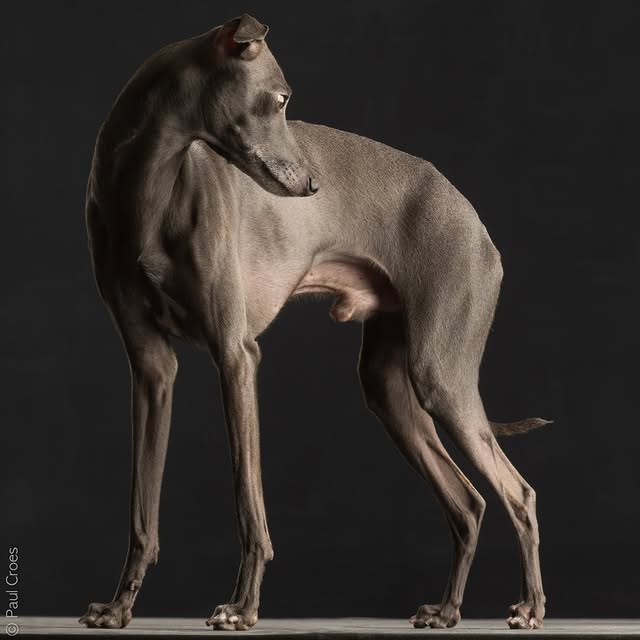  ..........hotography   'recent posts' 