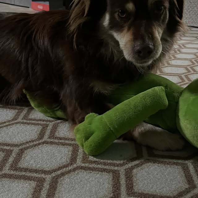  .....og2020   'recent posts' 