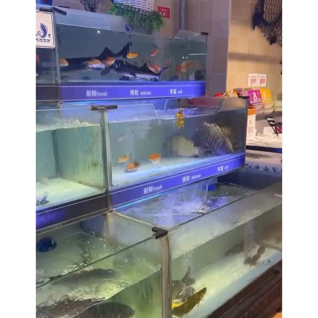  ......marino   'recent posts' 