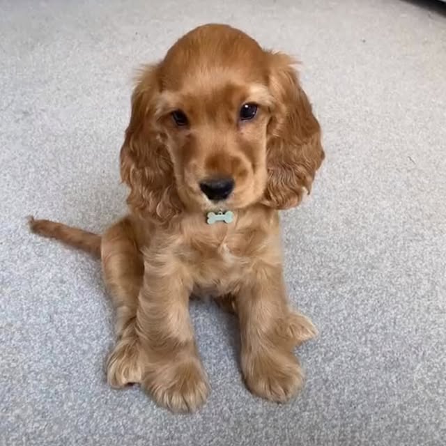  ......ofinsta   'recent posts' 