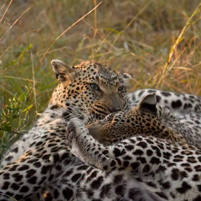  .........._sightings   'recent posts' 