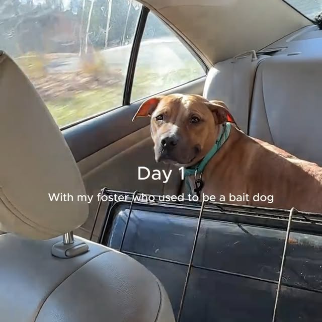  .....sland   'recent posts' 