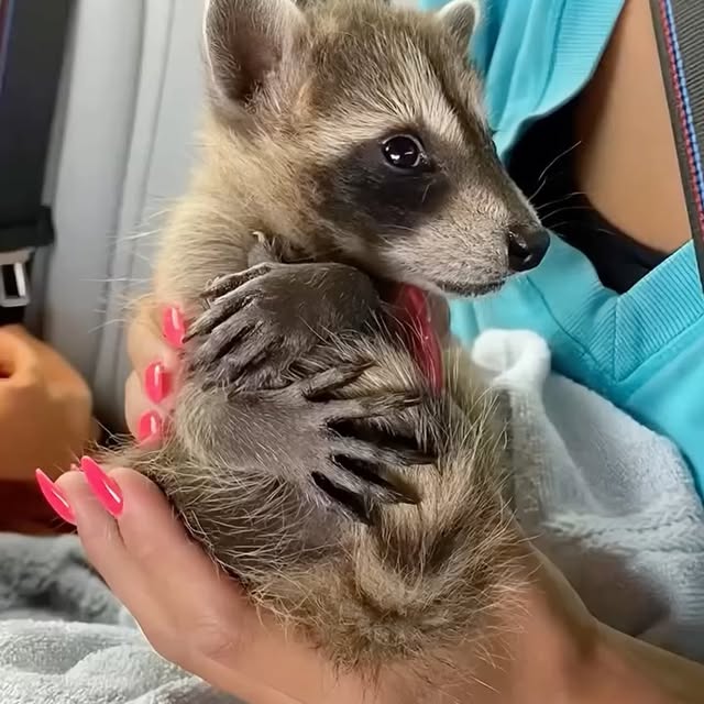  ...urre   'recent posts' 