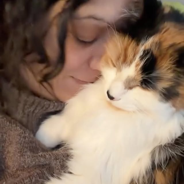  .........tofficial   'recent posts' 