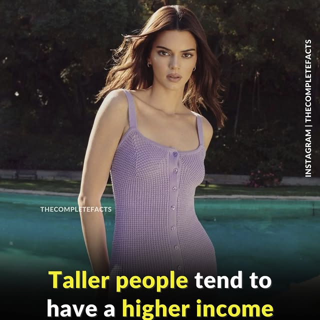  ........etefacts   'recent posts' 