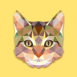 Hire ......er.cats influencer with 328.1k