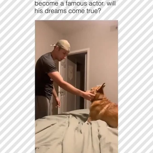  .....pawsz   'recent posts' 