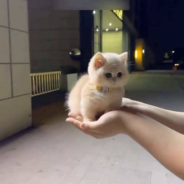  .....fweek   'recent posts' 