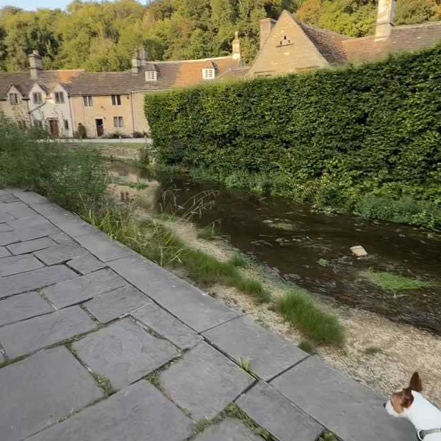  .......sell_luc   'recent posts' 