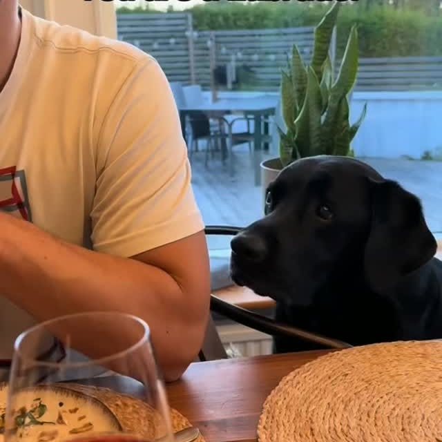  ....ofk9   'recent posts' 