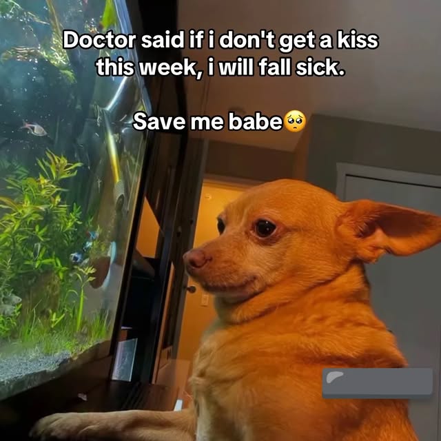  .............thelchiemezuo   'recent posts' 