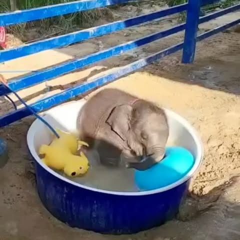  ........sofworld   'recent posts' 