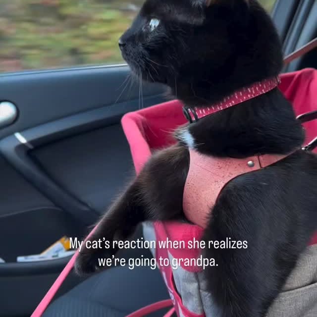  .......ats_club   'recent posts' 