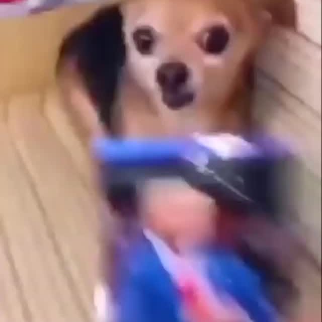  ........astiming   'recent posts' 