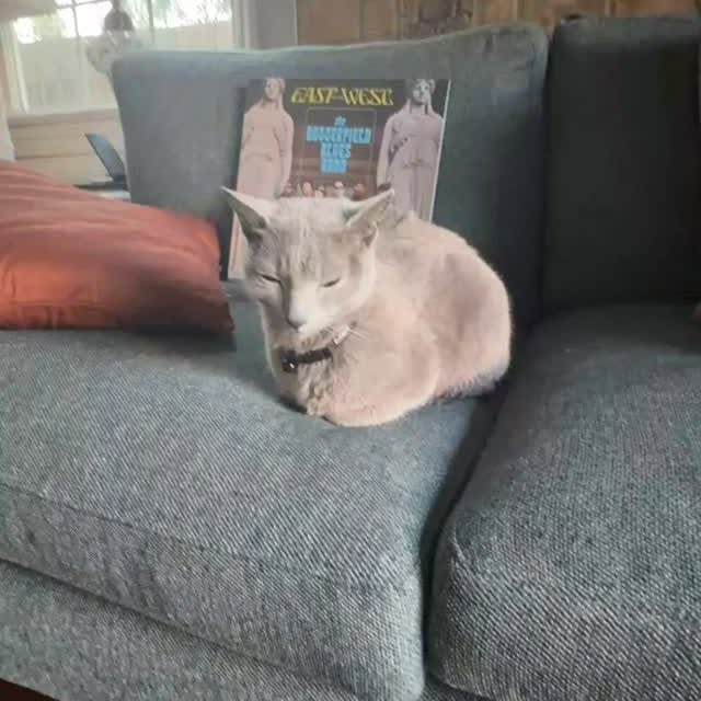  ......n_boris   'recent posts' 