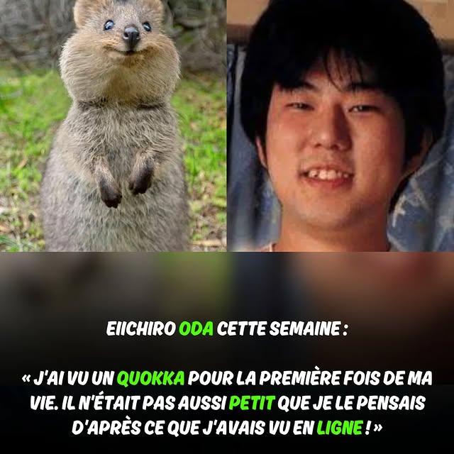  .....france   'recent posts' 