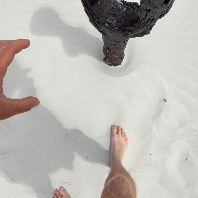  .....erting   'recent posts' 