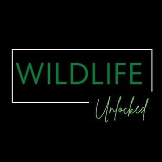 Hire ........unlocked influencer with 178.4k