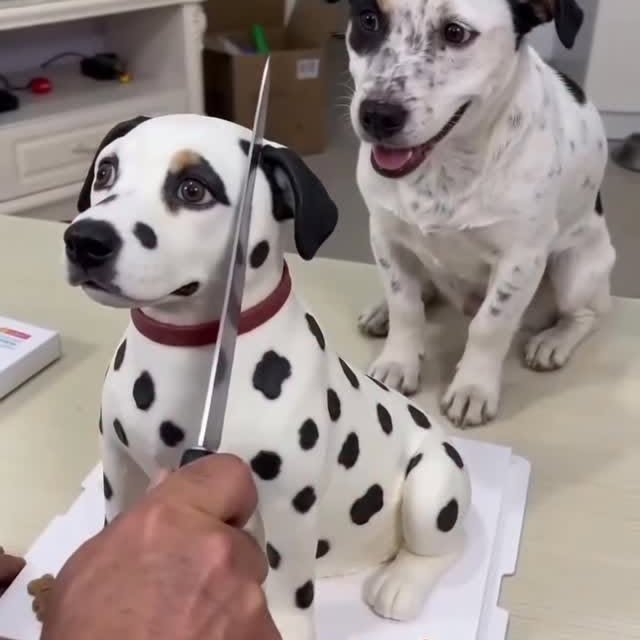  ......orable   'recent posts' 