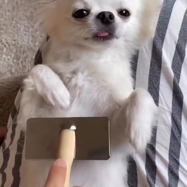  .......uapuppy   'recent posts' 