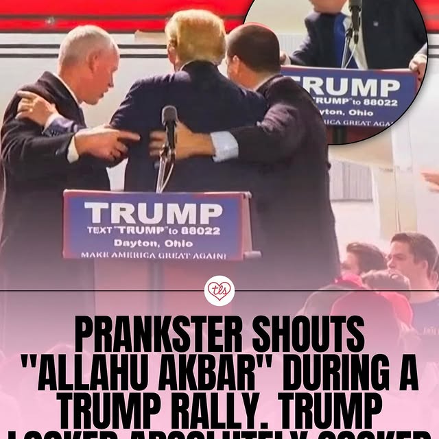  .....vid.s   'recent posts' 