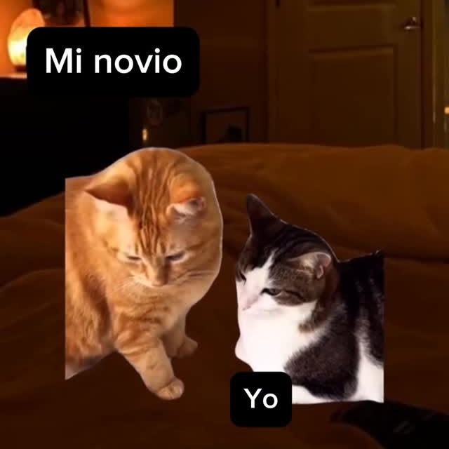  ....jases   'recent posts' 