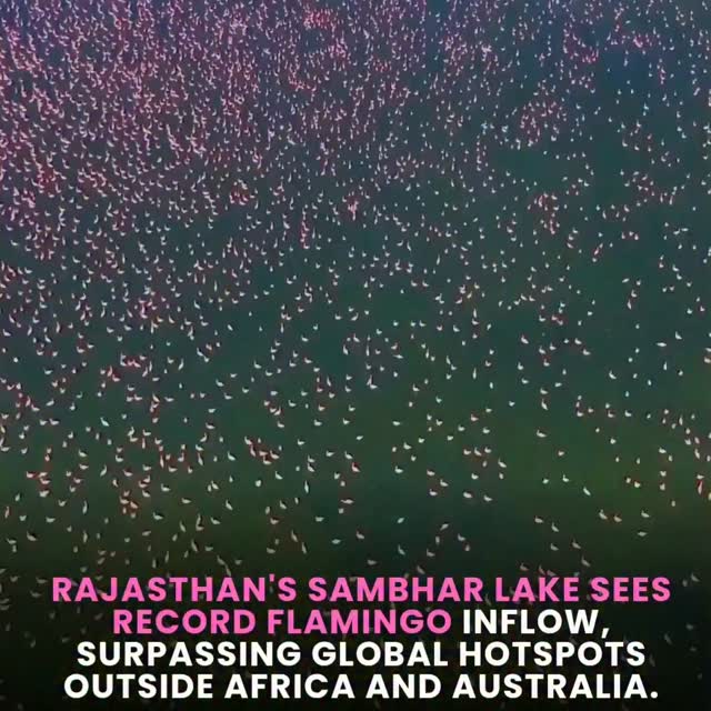  .........terslinked   'recent posts' 