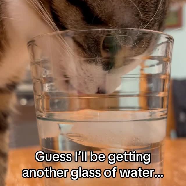  ...........irtonguesout   'recent posts' 