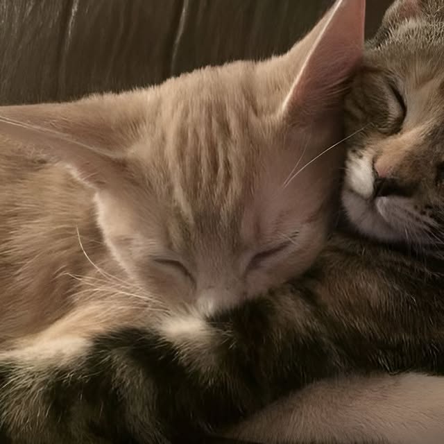  .......world.in   'recent posts' 