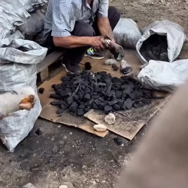  ........_culture_   'recent posts' 