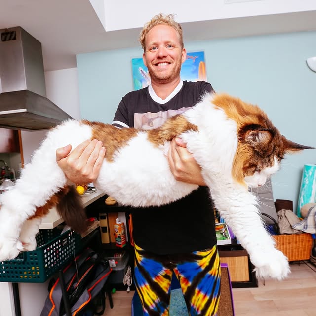  ......adamus   'recent posts' 