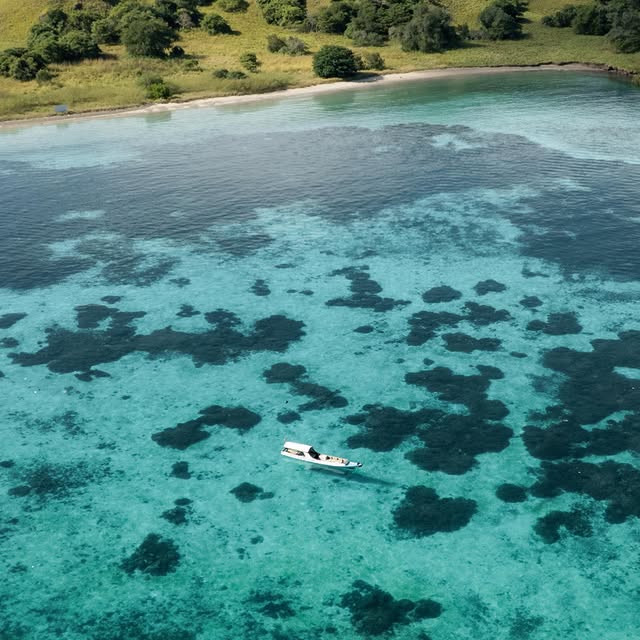  .......arrasso   'recent posts' 