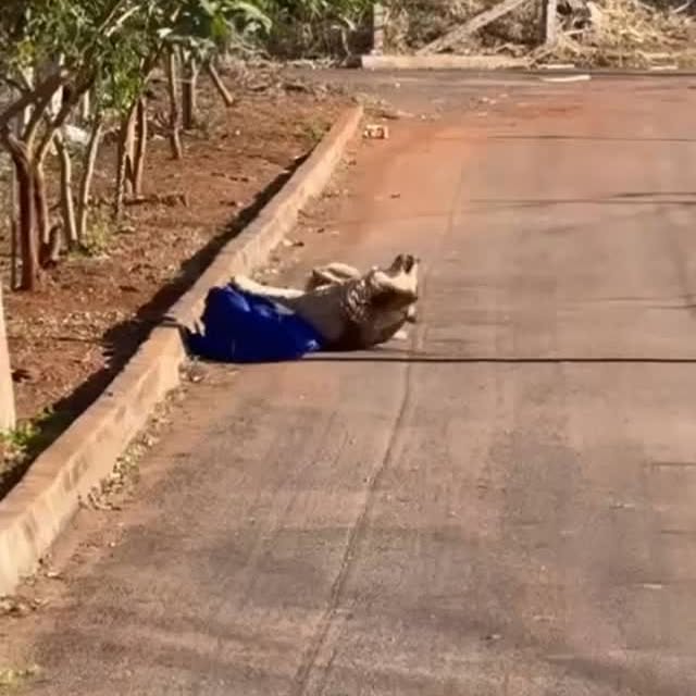  ....ash_   'recent posts' 