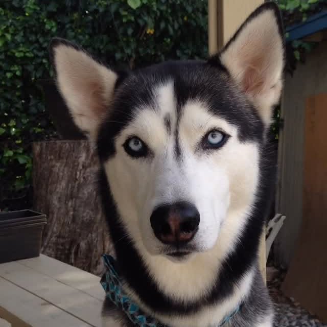  .....tmiles   'recent posts' 