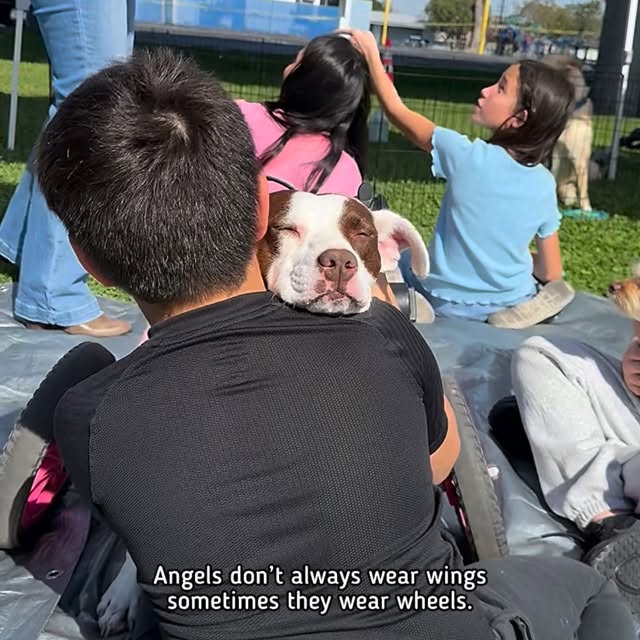  ........malsgram   'recent posts' 