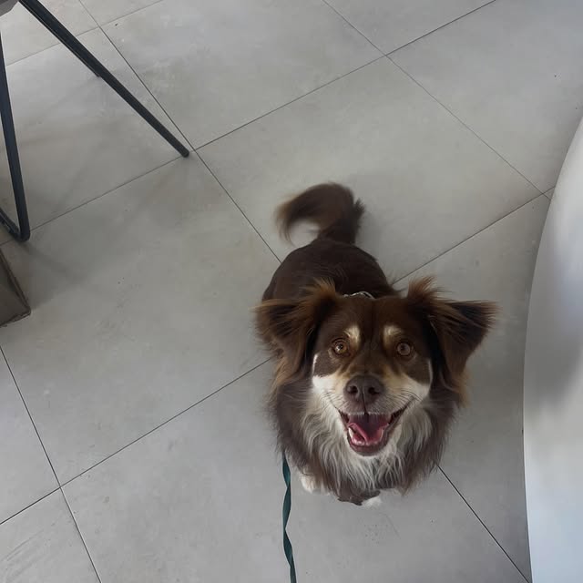  .....og2020   'recent posts' 