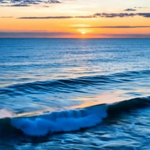  ......dreame   'recent posts' 