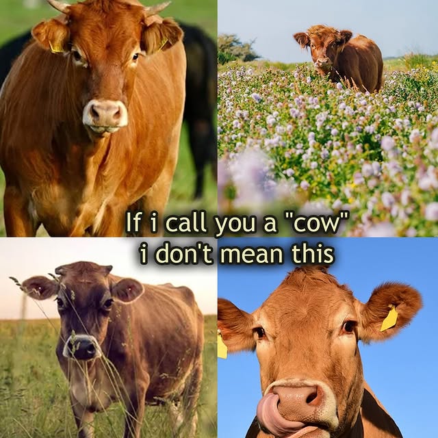  .....slv   'recent posts' 