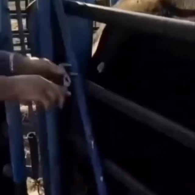  ......fehood   'recent posts' 