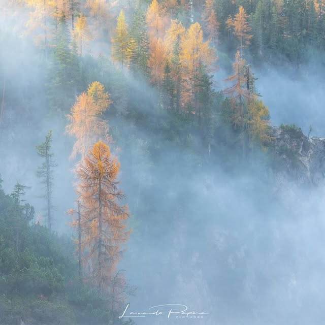  .......o.papera   'recent posts' 