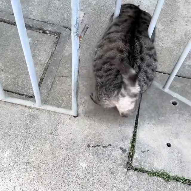  ...sjpg   'recent posts' 