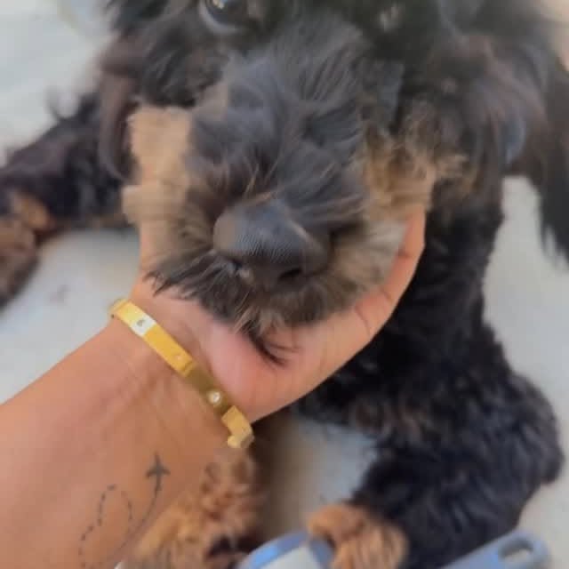  .........vadanvita   'recent posts' 