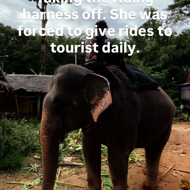  ........sofworld   'recent posts' 