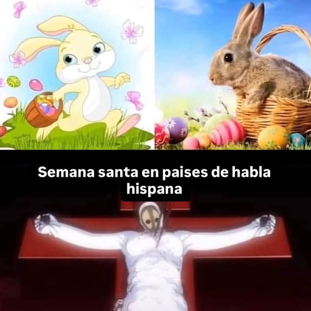  .....nanzis   'recent posts' 