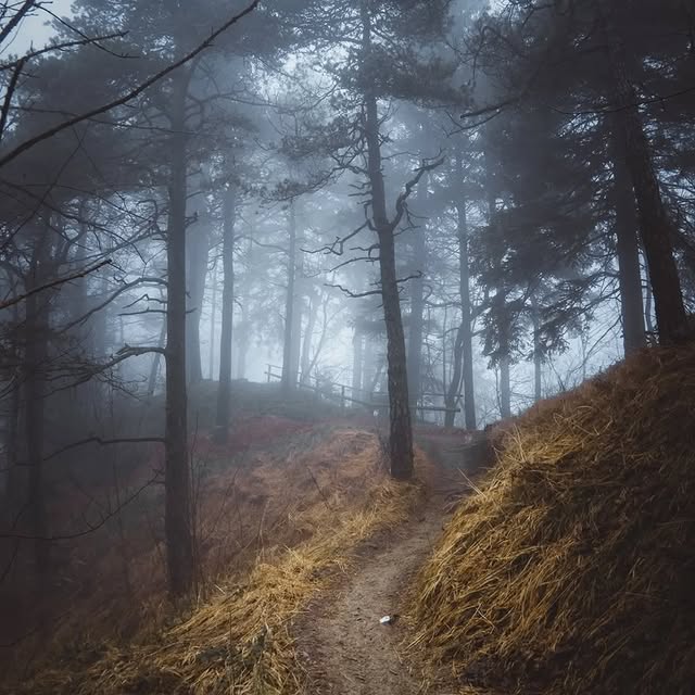  ..........discoverer   'recent posts' 