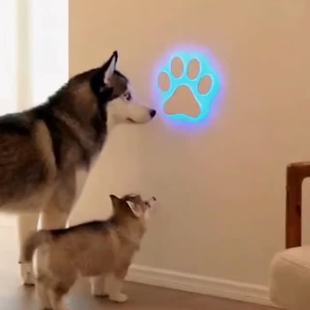  .......xplores   'recent posts' 