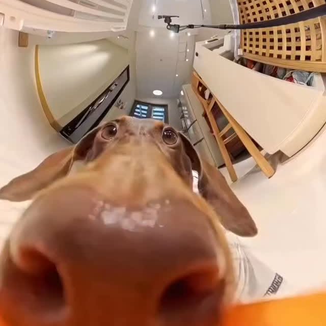  ..........fan.club_   'recent posts' 