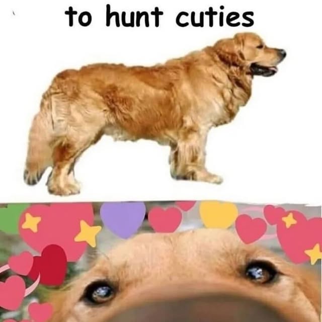  .......ndrulzz   'recent posts' 