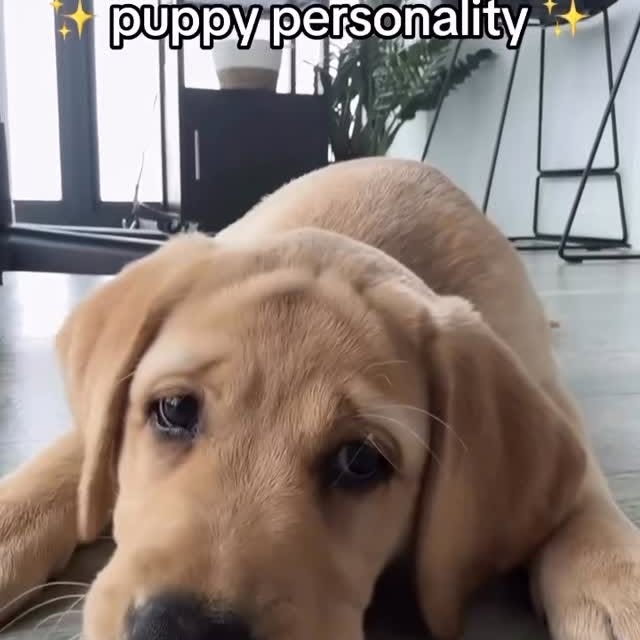  .......r_class   'recent posts' 